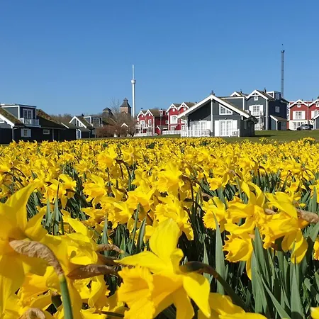 Iris Strandhus Sierksdorf Exterior photo