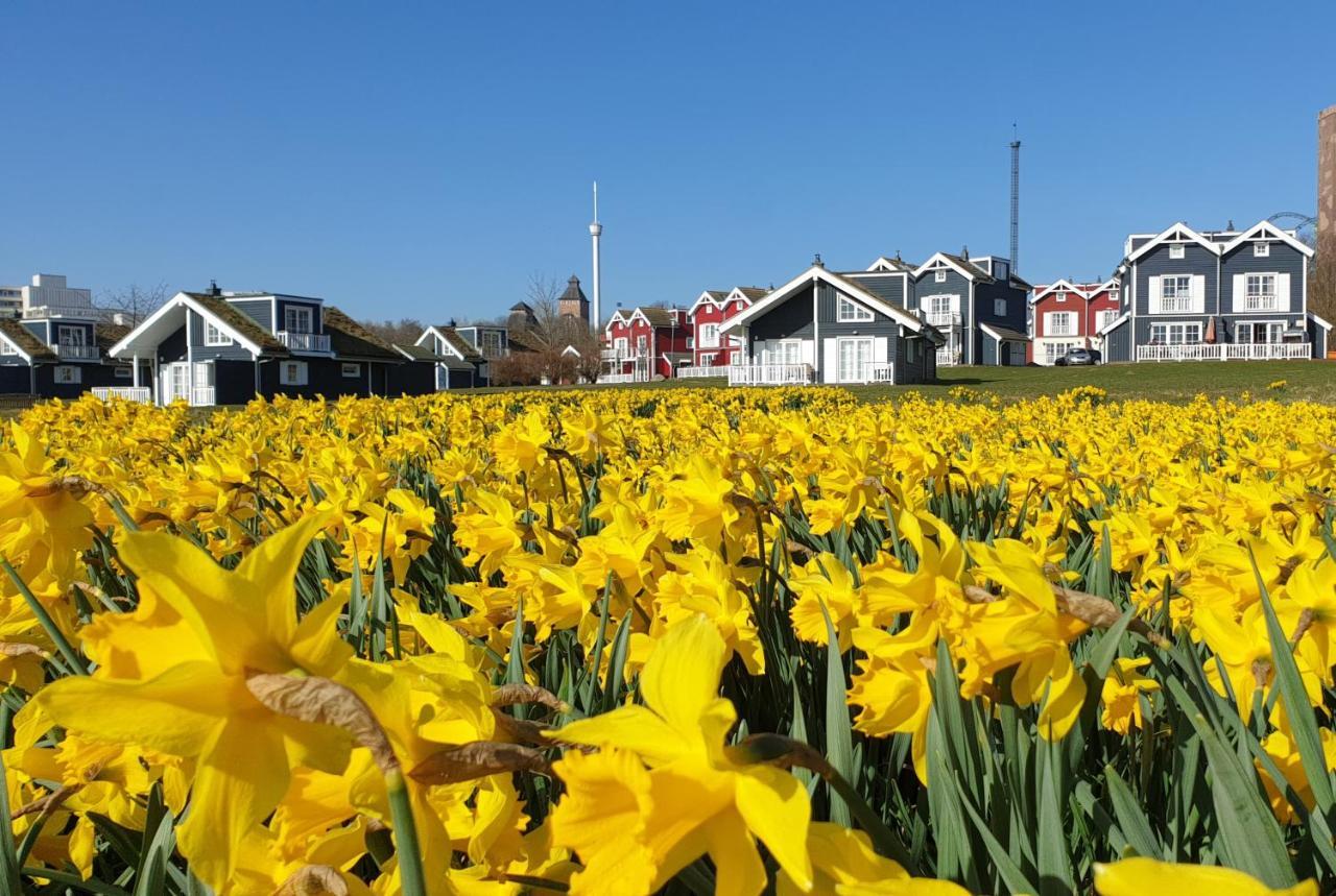 Iris Strandhus Sierksdorf